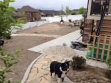 Maizie checking out the workmanship