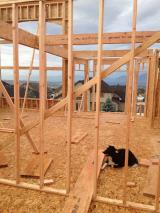 Standing in music room, Maizie in kitchen and nook at back