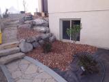 Back steps to basement windows